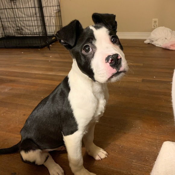 Profile Picture of Joseph Smith (@jks814) on Poshmark