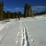 Profile Picture of Dan Sorrells (@potbelliedchef) on Instagram