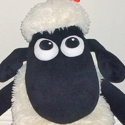 Profile Picture of Jo Weise (@WeiseJo) on Twitter