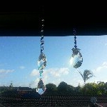 Profile Picture of Bobbie-lee Mcintosh (@bobbiem2hotmailcom) on Instagram