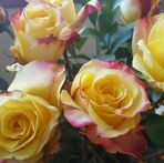 Profile Picture of Susan Faucher (@susan.faucher) on Facebook