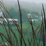 Ian Straight - Instagram Profile Picture of Ian Straight (@pictures_for_ya_77) on Instagram