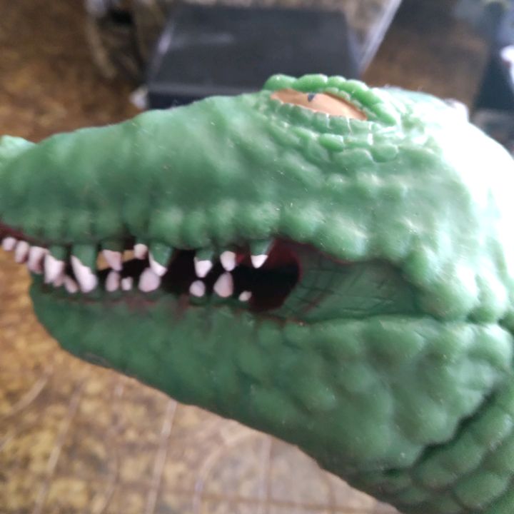 Profile Picture of Jerry (@jerrythecroc) on Tiktok