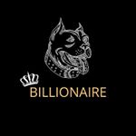 Profile Picture of Ryann Petrick MKT (@billionario.mkt) on Instagram