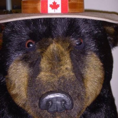 Profile Picture of Ken McBey (@KJMcBey) on Twitter