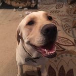 Profile Picture of Travis Catlin (@travicat1983) on Instagram