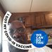 Profile Picture of Rickey Chase (@rickey.chase.14) on Facebook