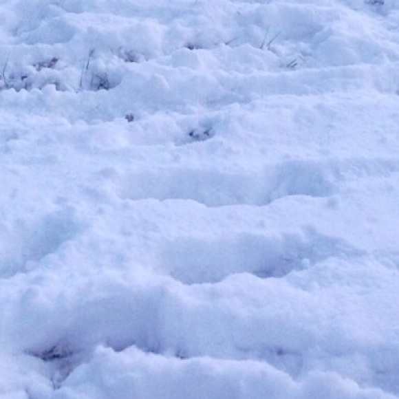 Profile Picture of Kelsie Snyder (@stevevernae) on Poshmark