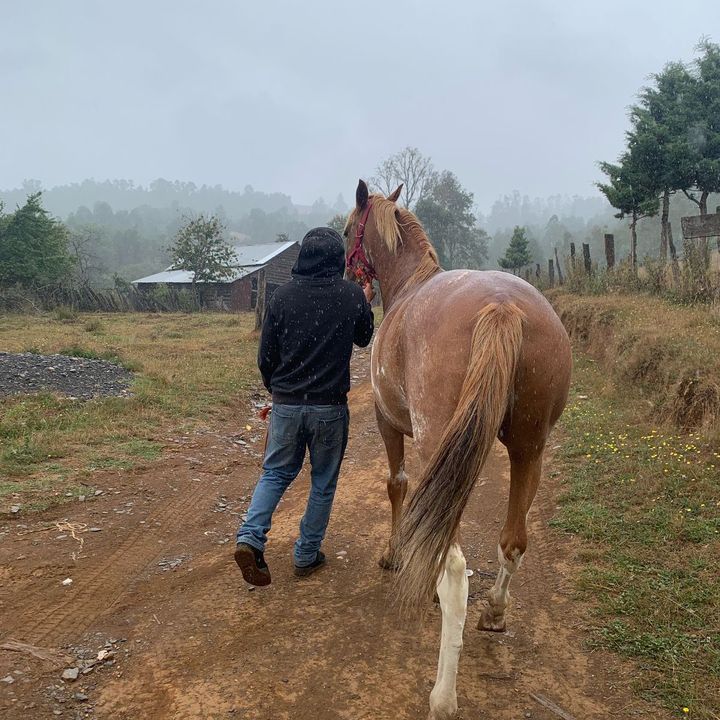 Profile Picture of robert_mc (@robertmillalen) on Tiktok