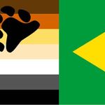 Profile Picture of Ursos do Brasil (@bearsbrasil) on Instagram