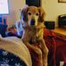 Profile Picture of Ann Binninger (@ann.binninger.9) on Facebook