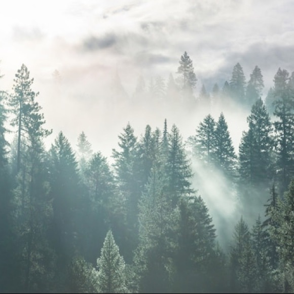 Profile Picture of Ben Seller (@ben_chamberlain) on Poshmark