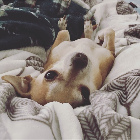 Profile Picture of Kristina Dakis (@kdakis) on Poshmark