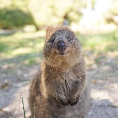 Profile Picture of Tom Colquhoun (@Jcolquhoun61Tom) on Twitter