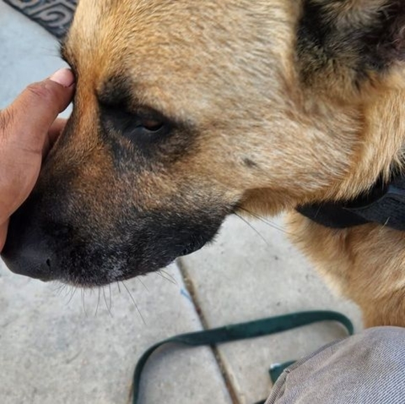 Profile Picture of Manuel González (@manuelmmggdd78) on Poshmark