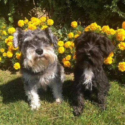 Profile Picture of Michael Wiest 610.504.7413 (@mwiest7124) on Twitter