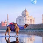 Profile Picture of Nitin Shukla (@nitin_shukla1212) on Instagram