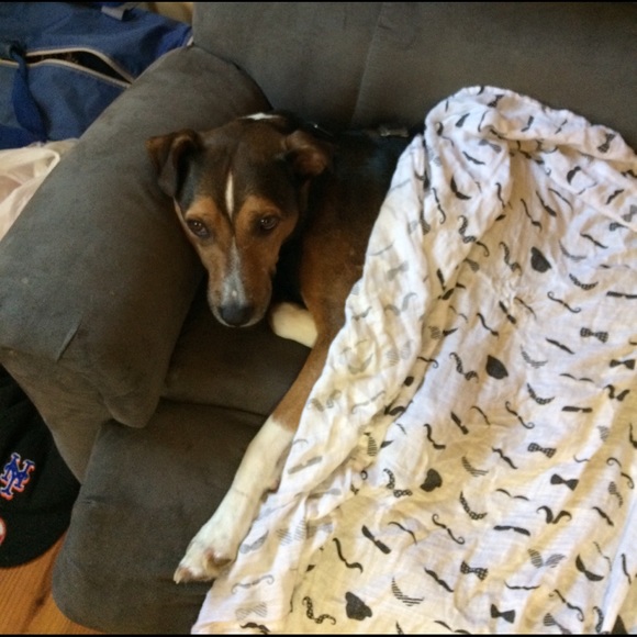 Profile Picture of Francesco Didiano (@didiano732) on Poshmark