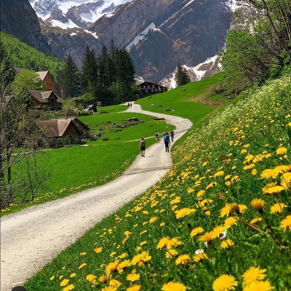 Profile Picture of Sharon Zhao (@zzsz) on Poshmark