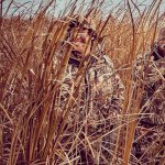 Profile Picture of Scott (@scott_holm) on Instagram