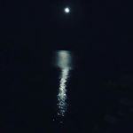 Profile Picture of Michele Grimaldi (@michele_grimaldi9028) on Instagram