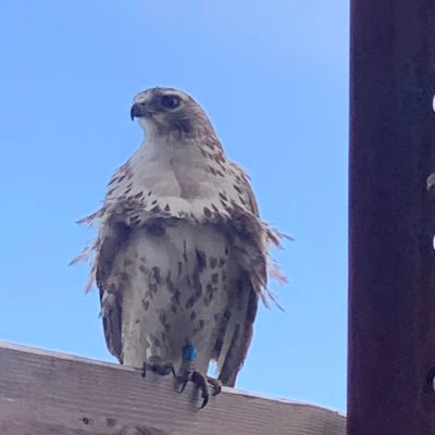 Profile Picture of Jim Ryerson (@JimRyerson3) on Twitter