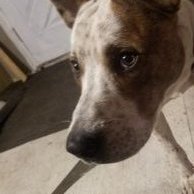 Profile Picture of Chris MOONEYHAM (@ChrisMOONEYHAM5) on Twitter