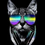 Profile Picture of adam_seibel (@adamkink888) on Instagram