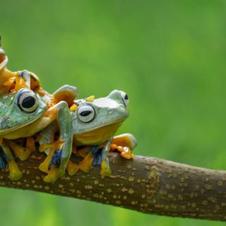 Lucas Fancher - Facebook Profile Picture of Lucas Fancher (@Lucas-Fancher) on Facebook