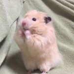 Profile Picture of Vandana Nicholas (@vand.ana.nicholas_yuh) on Instagram