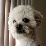 Profile Picture of David Almaguer (@sda719) on Instagram