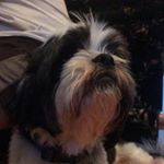 Profile Picture of JoeKroll18 (@joekroll18) on Instagram