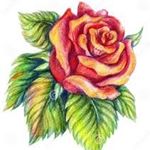 Profile Picture of Skylar Shaw ⚠️New Account ⚠️ (@5ive__star) on Instagram