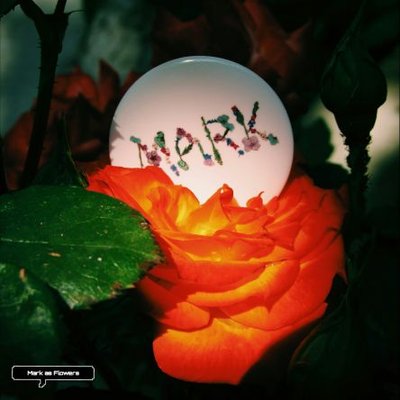 Profile Picture of Mark As Flowers  🍁 (@NCTMark_Flowers) on Twitter