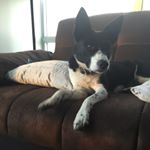 Profile Picture of Jonathan Czarnojan (@j.czarnojan) on Instagram