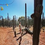 Profile Picture of Ismael Ugalde Valverde (@ismaeluv_93) on Instagram