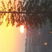 Profile Picture of Joey Sanderson (@joeysanderson8542) on Youtube