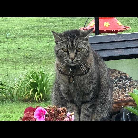 Profile Picture of Laura Irvine (@laurairvine) on Poshmark