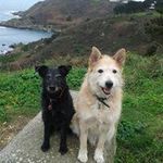 Profile Picture of Debbie Brodrick (@debbiebrodrick) on Instagram