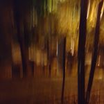 Profile Picture of James Soper (@jimmy_pariah) on Instagram