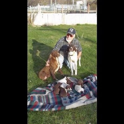 David Gubler - Twitter Profile Picture of David Gubler (@GublerDavid) on Twitter