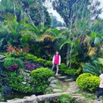 Profile Picture of Mariah Diverte (@mariah_fonseca_desouza) on Instagram