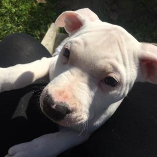 Profile Picture of Amber Neilson (@amber.neilson1) on Facebook