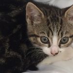 Jamie Towle - Instagram Profile Picture of Jamie Towle (@jetski9876) on Instagram