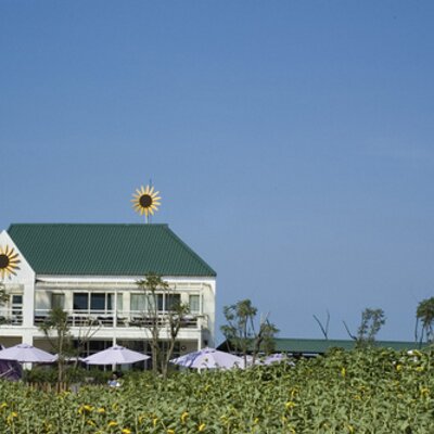 Profile Picture of Arthur Peng (@arthurp) on Twitter