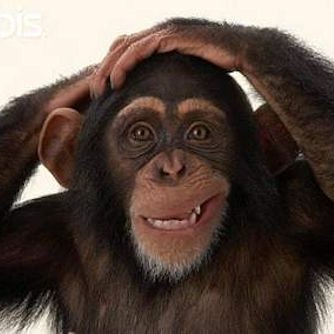 Profile Picture of Carlos Carus (@Carusin) on Twitter