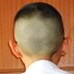 Profile Picture of Dong Pang (@Dong-Pang) on Facebook