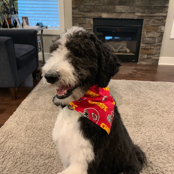 Profile Picture of Katie Pandullo (@kpandullo) on Poshmark