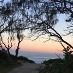 Profile Picture of Alice McLeod (@mcleod2550) on Instagram