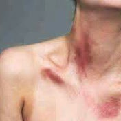 Edward Ventura - Youtube Profile Picture of Edward Ventura (@edwardventura864) on Youtube